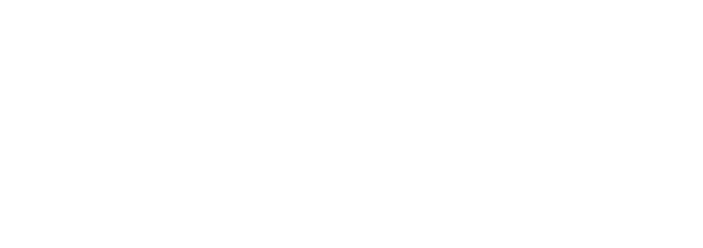 Shane Earn